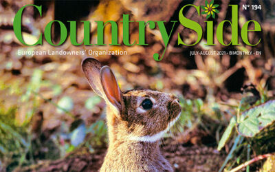 Revista Countryside